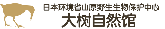 やんばる野生生物保護センター