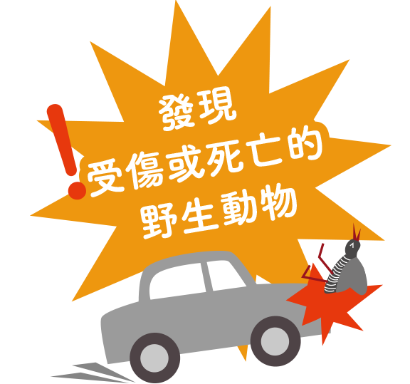 发现受伤或死亡的野生动物