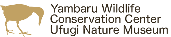 Yambaru Wildlife Conservation Center Ufugi Nature Museum